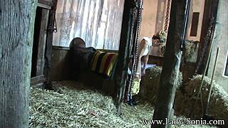 Lady Sonia The Peeping Tom At The Stables