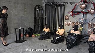 i got four masochistic men delivred to mistress sara for bdsm party