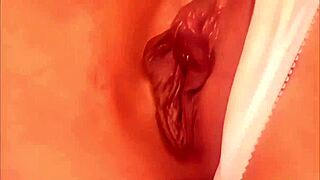 Elegant blonde milf fucks lesbian cougar with strapon