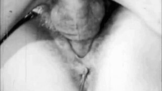 Dark Lantern Presents Sins Of Step Grandmothers In Vintage Lesbian Fucking