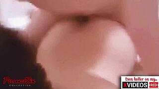 Tranny breeding compilation vol 19