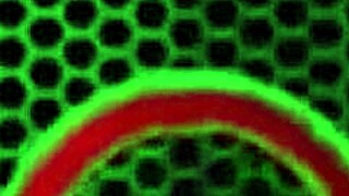 Sara Jay Dominates Lesbian Duo