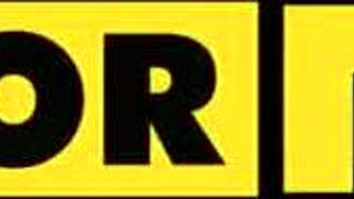 What advice does the counselor give this lesbian couple?