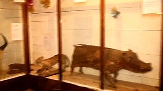 A Strange Meeting In A Tourist Park With His Huge Cock That Filled Me Full Of The Mouth And In The Ass Especially When He Fucks Me With Pleasure My Tight Ass To The Pleasure Of Spectators