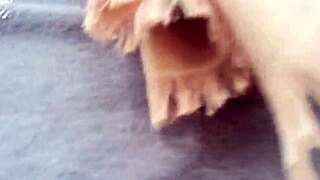 i show my tits in public garden then pee in my tight pants