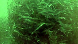 Femdom Masturbates While Roleplaying Domming Her Neighbor!