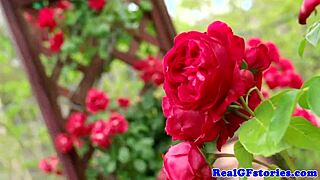 lingerie housewives double penetration action in shower with big tits and ass