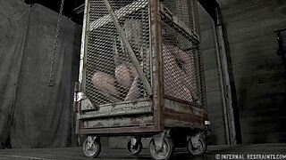 Ecstatic Tied Up Tits with Toy Pleasure