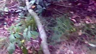 Exciting Adventure In The Public Woods