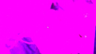 Wife Gives Naughty Blowjob