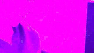 Wife Gives Naughty Blowjob