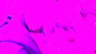 Wife Gives Naughty Blowjob