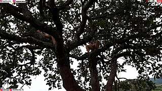 Ripping clothes off blonde and brunette for intense outdoor assfucking on tree in public.