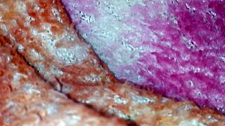 Filming My Sister-In-Law's Sexy Ass