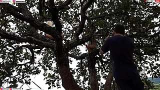 Ripping clothes off blonde and brunette for intense outdoor assfucking on tree in public.