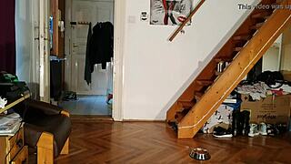 Goth Domina Feeds Human Dog Piss