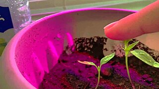 Hey, check out this cute babe fingering her wet pussy