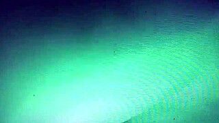 bitch with that big hairy pussy