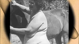 黑暗灯笼娱乐呈现女人和动物