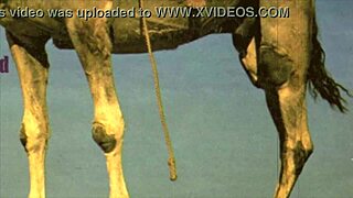 Dark lantern entertainment presents women with animals