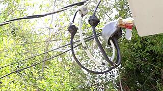 هازل مور الشرموطة الصغيرة تدعو عامل زب أسود كبير لنيك عنيف