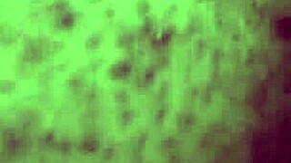 Enjoying Double Penetration With Toys