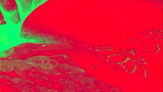 Intense ass fucking with Caroleta Roots