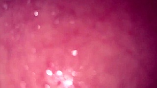 Hey, I brought a tourist to my hostel and we fucked hard in the bathroom.