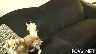 Shaved pussy receives sexy pounding by erected cock.