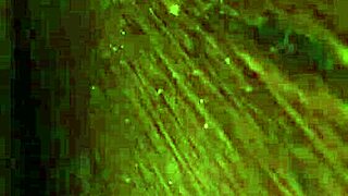 i'm licking these dirty feet so intensely