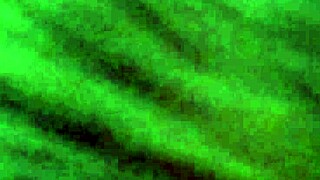 Closeup View Of The Wife