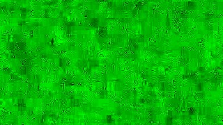 What's My Bbw Wife Doing With This Fat Stranger