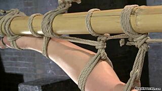 Lesbian slave endures whipping while hogtied in BDSM