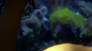 Seducing The Lesbian With Constraints On Sex Since They Just Met