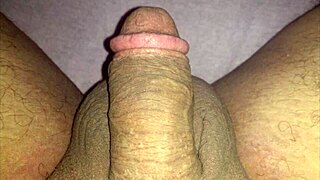 i captured jade's husband at various times during our exhibitionist adventures