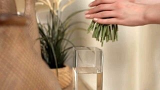 Crystal White Gets DP In Threesome - Free Trailer