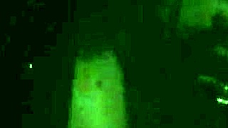 Insatiable punk playing with toy outside