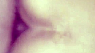 Intimate Malaysian Doggy Creampie Moment