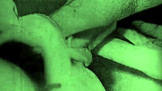 Vintage erotic art collection displayed