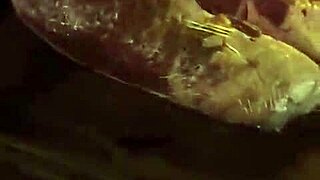 mexico trip recap with more life adventures