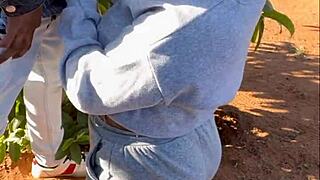 handjob compilation with big cocks