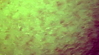 Curvy amateur dildo solo