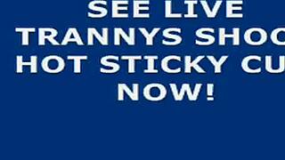 Big Shooter Ladyboy Crossdresses and Dominates