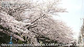 First shooting married woman document featuring mio inoue