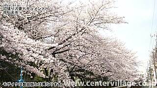 First shooting married woman document featuring mio inoue