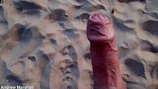 Sensational beach volleyball now available digitally