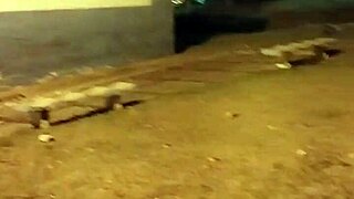 I went to the soccer field for a facial and almost got caught cumming!