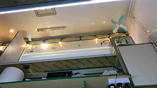 Boss intensely plays with shop assistant's pussy during customer talk