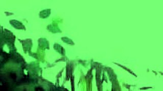 muva phoenix scissoring big ass blonde in lesbian cum session