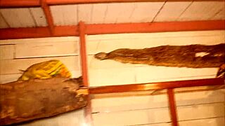 public fuck of tourists in a park in yaoundé during the african cup of nations football in cameroon this woman is copiously fucked in public by the tourist in a park